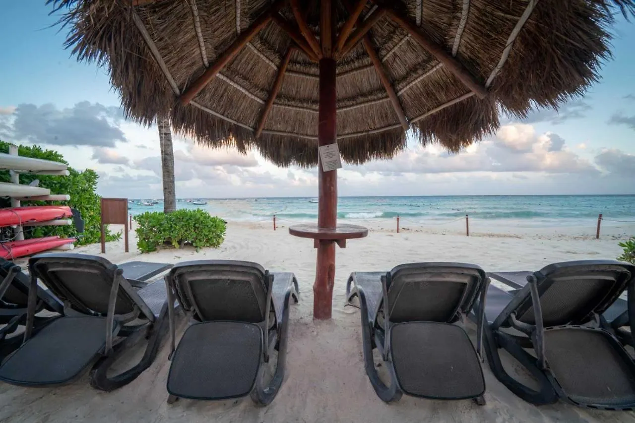 Luxury Complex - Infinity Pool And Private Beach Club - At The Elements Condos 108 Playa del Carmen 0*,  Mexico